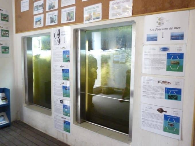 Observatoire aquatique de Châteaulin – Menez Hom Atlantique Tourisme