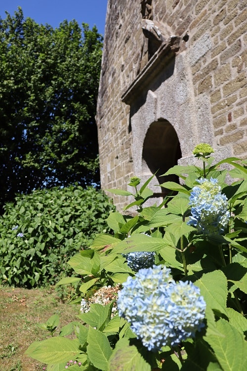 Chapelle Saint-Voirin au Cloître-Pleyben : vue fleurie (hortensias) au pignon ouest